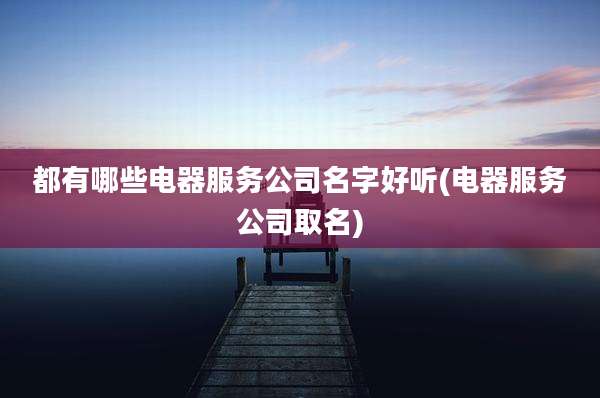 都有哪些电器服务公司名字好听(电器服务公司取名)