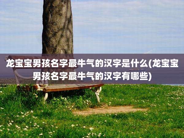 龙宝宝男孩名字最牛气的汉字是什么(龙宝宝男孩名字最牛气的汉字有哪些)