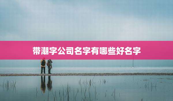 带潮字公司名字有哪些好名字