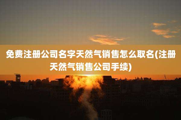 免费注册公司名字天然气销售怎么取名(注册天然气销售公司手续)