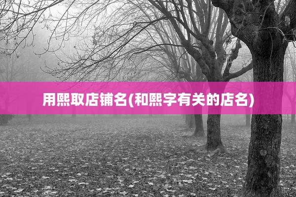 用熙取店铺名(和熙字有关的店名)