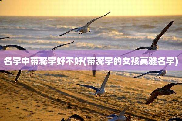 名字中带蕊字好不好(带蕊字的女孩高雅名字)