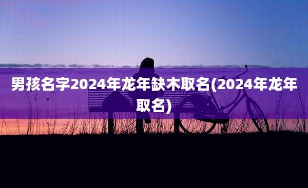 男孩名字2024年龙年缺木取名(2024年龙年取名)