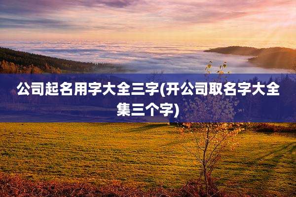 公司起名用字大全三字(开公司取名字大全集三个字)