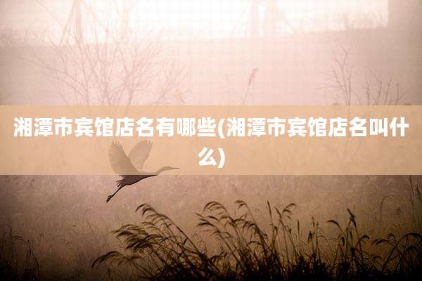 湘潭市宾馆店名有哪些(湘潭市宾馆店名叫什么)