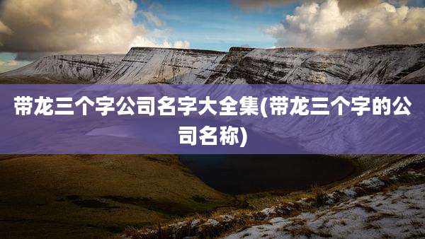 带龙三个字公司名字大全集(带龙三个字的公司名称)