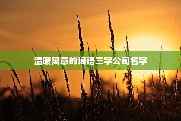 温暖寓意的词语三字公司名字