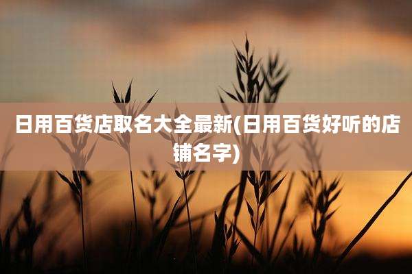 日用百货店取名大全最新(日用百货好听的店铺名字)