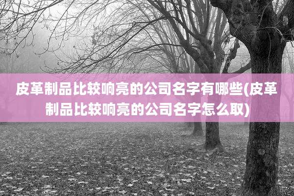 皮革制品比较响亮的公司名字有哪些(皮革制品比较响亮的公司名字怎么取)
