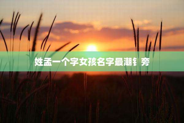 姓孟一个字女孩名字最潮钅旁