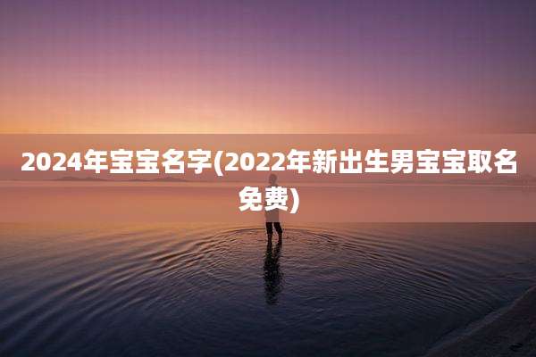 2024年宝宝名字(2022年新出生男宝宝取名免费)