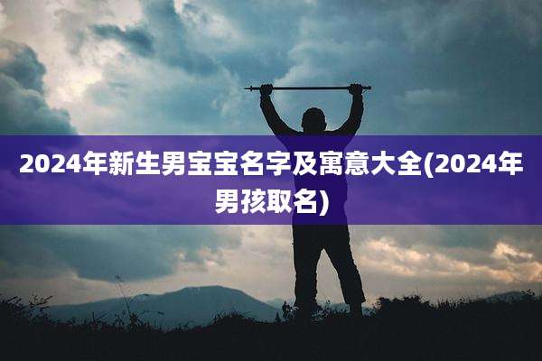 2024年新生男宝宝名字及寓意大全(2024年男孩取名)