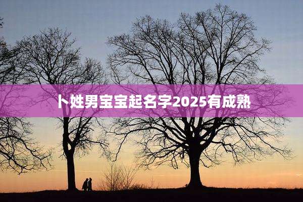 卜姓男宝宝起名字2025有成熟