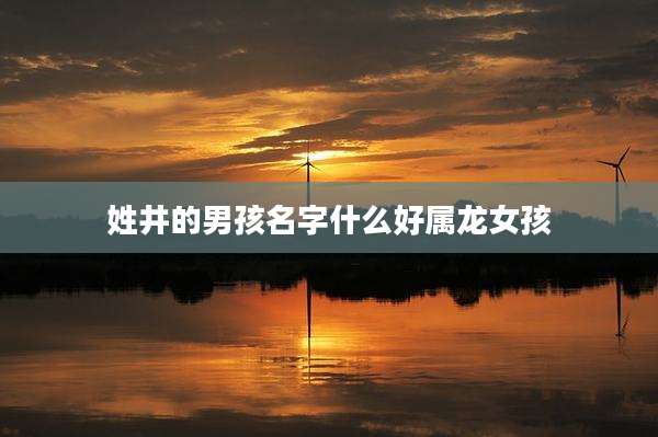 姓井的男孩名字什么好属龙女孩