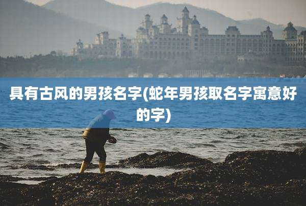 具有古风的男孩名字(蛇年男孩取名字寓意好的字)