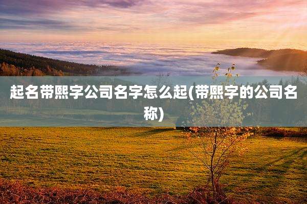 起名带熙字公司名字怎么起(带熙字的公司名称)