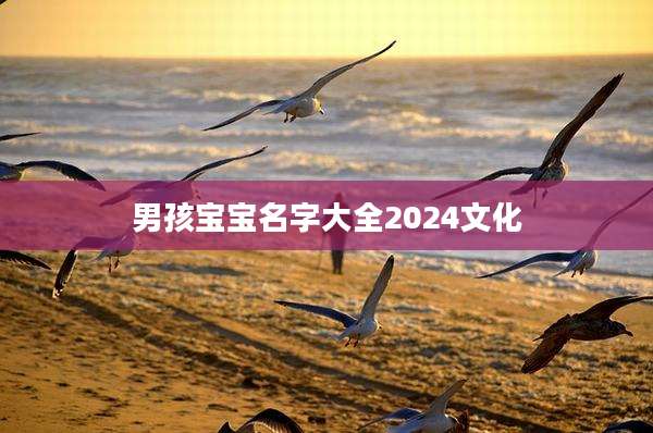 男孩宝宝名字大全2024文化