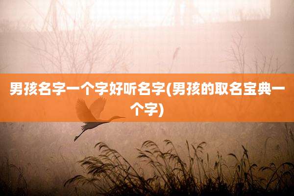 男孩名字一个字好听名字(男孩的取名宝典一个字)