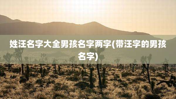 姓汪名字大全男孩名字两字(带汪字的男孩名字)