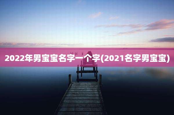 2022年男宝宝名字一个字(2021名字男宝宝)