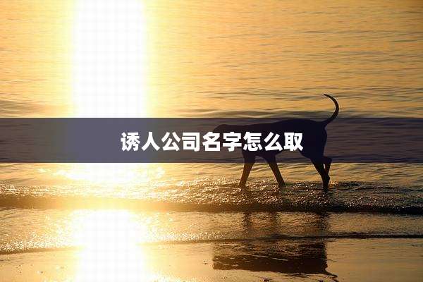 诱人公司名字怎么取