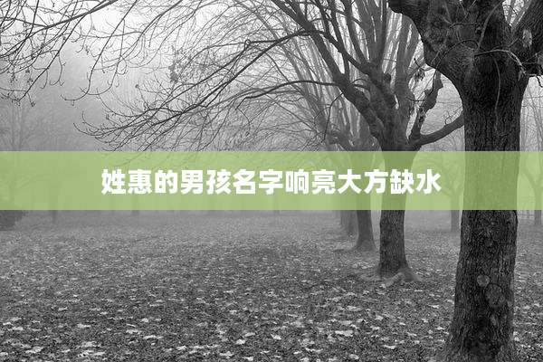 姓惠的男孩名字响亮大方缺水