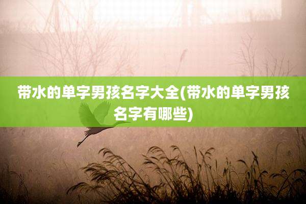 带水的单字男孩名字大全(带水的单字男孩名字有哪些)