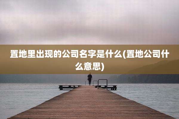 置地里出现的公司名字是什么(置地公司什么意思)