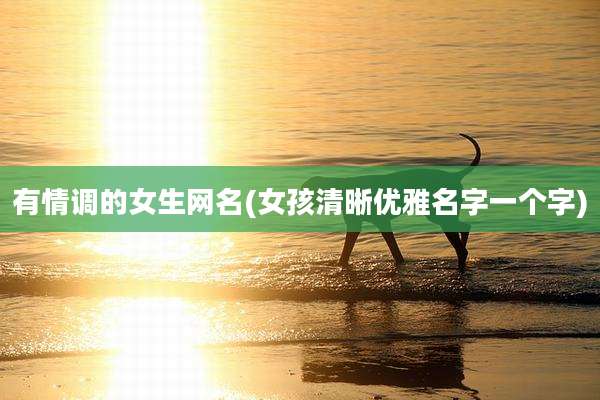 有情调的女生网名(女孩清晰优雅名字一个字)
