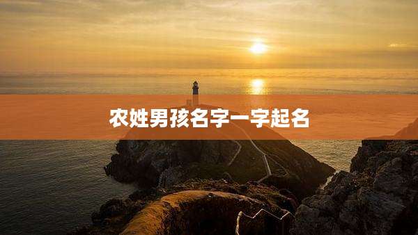 农姓男孩名字一字起名