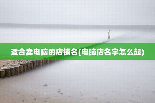 适合卖电脑的店铺名(电脑店名字怎么起)
