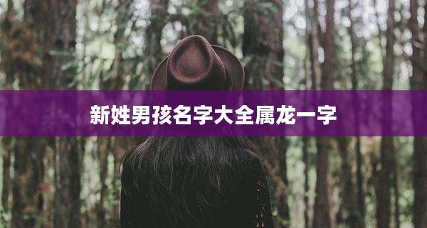新姓男孩名字大全属龙一字