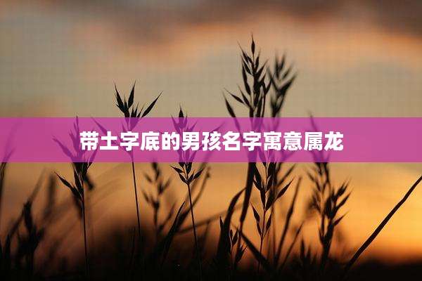 带土字底的男孩名字寓意属龙