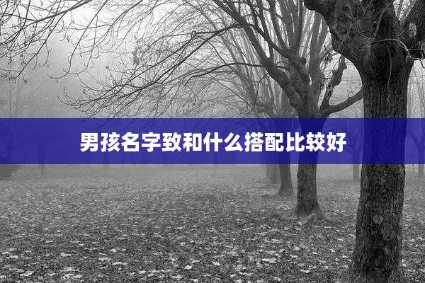 男孩名字致和什么搭配比较好