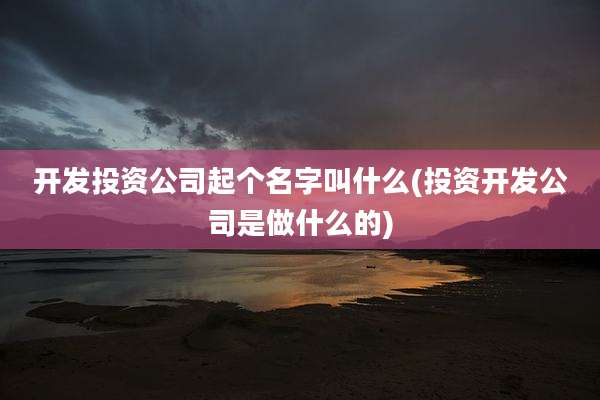 开发投资公司起个名字叫什么(投资开发公司是做什么的)