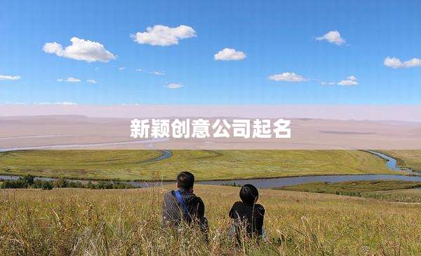 新颖创意公司起名