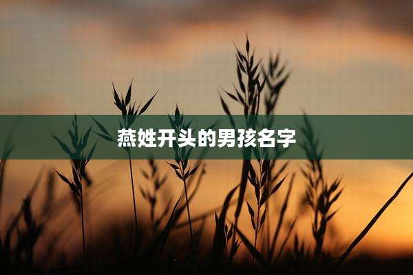 燕姓开头的男孩名字