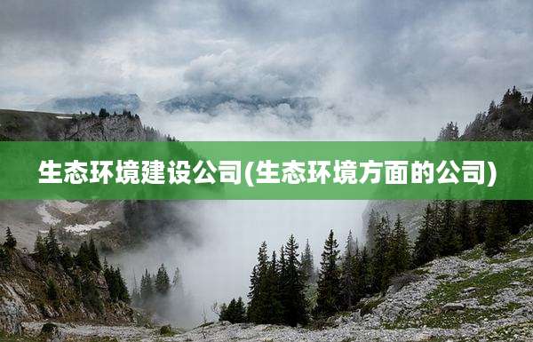 生态环境建设公司(生态环境方面的公司)