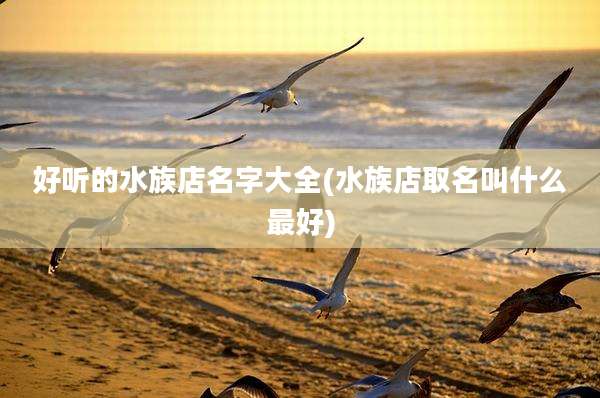 好听的水族店名字大全(水族店取名叫什么最好)