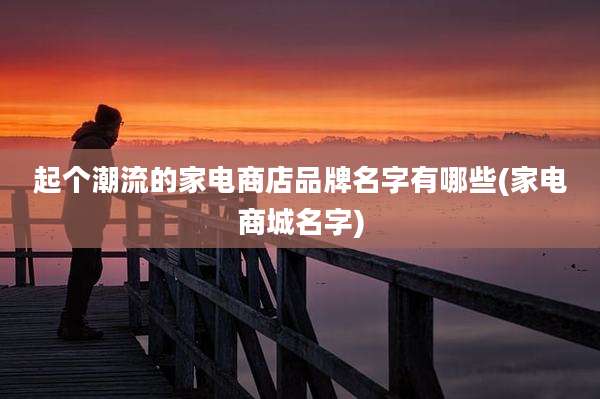 起个潮流的家电商店品牌名字有哪些(家电商城名字)