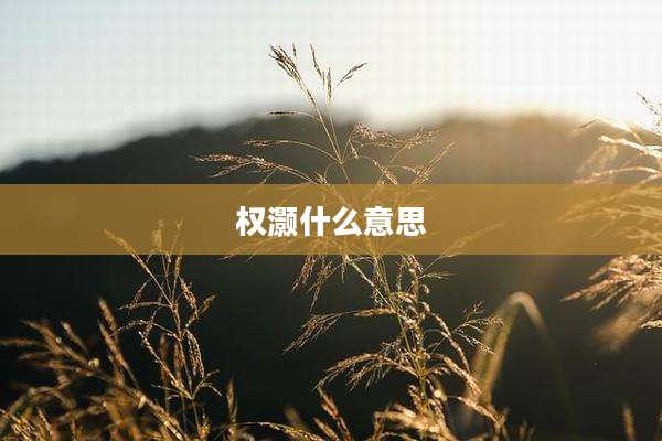 权灏什么意思