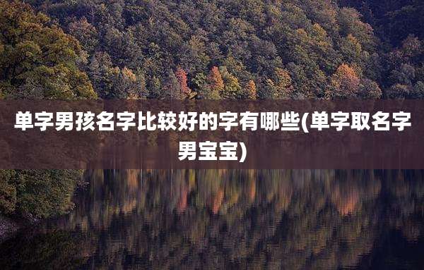 单字男孩名字比较好的字有哪些(单字取名字男宝宝)