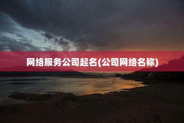 网络服务公司起名(公司网络名称)