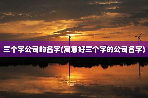 三个字公司的名字(寓意好三个字的公司名字)