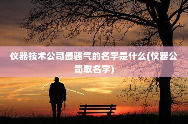 仪器技术公司最骚气的名字是什么(仪器公司取名字)