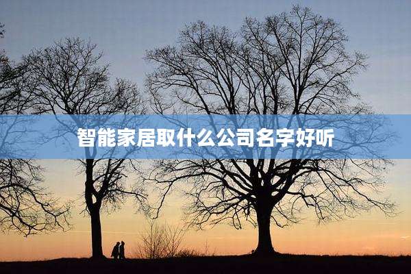 智能家居取什么公司名字好听