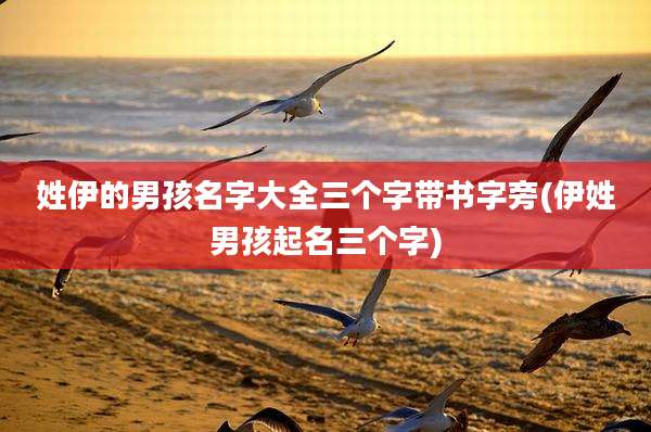 姓伊的男孩名字大全三个字带书字旁(伊姓男孩起名三个字)