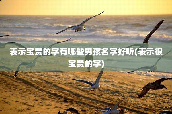 表示宝贵的字有哪些男孩名字好听(表示很宝贵的字)