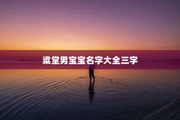 粱堂男宝宝名字大全三字