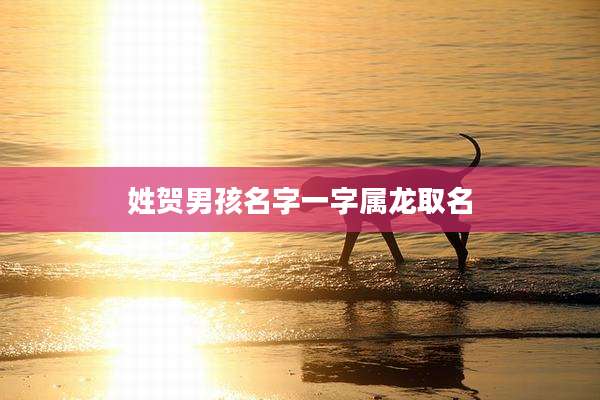 姓贺男孩名字一字属龙取名